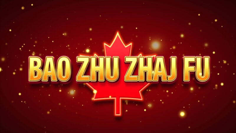 Bao Zhu Zhao Fu Slot Machine